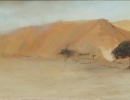 A tree at the Arava valley, 2014 Oil on canvas  53x100