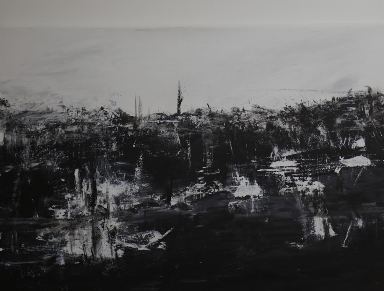 Black and white1, 2019 <br> Acrylic on canvas 100X80